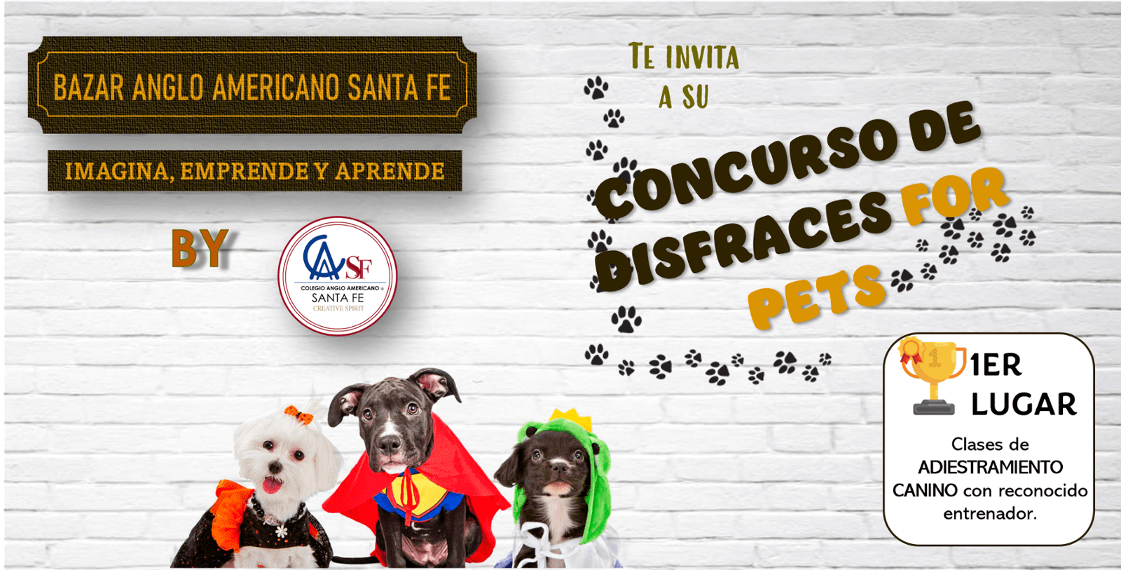 Concurso de Disfraces de Mascotas - BAZAR ANGLOAMERICANO